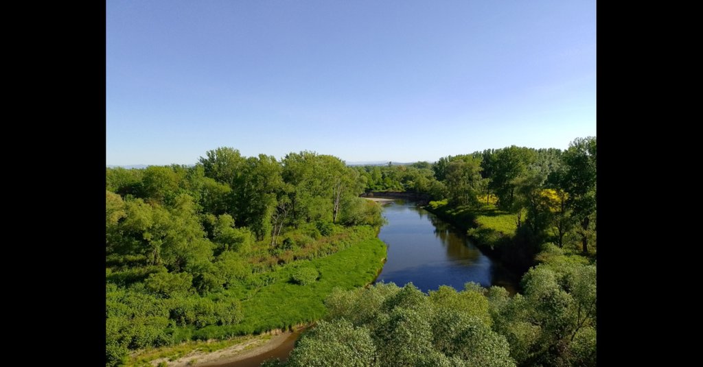 hranicni-meandry-odry